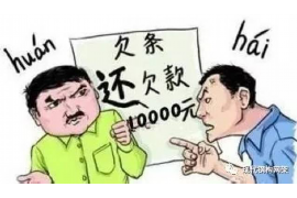 贞丰专业讨债公司有哪些核心服务？